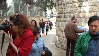 HolyLand Tour Part 6 [upl. by Behn]