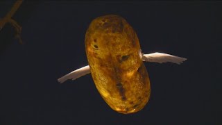 Watch the Potato Drop live on KTVB [upl. by Elihu787]