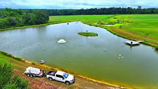 Adding 10000 Fish to the 5 Acre Pond [upl. by Nhguaval]