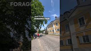 What to Do in Porvoo Finland  Foraging Tour with Runo Hotel [upl. by Hacker]