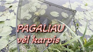 Karpis per kelias valandas  karpių žūklė [upl. by Ssepmet967]