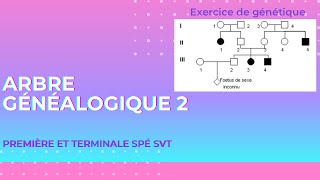 Exercice génétique 🧬arbre généalogique 2 [upl. by Enerod]