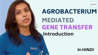 Agrobacterium Mediated Gene Transfer  Part 1  Introduction [upl. by Samot]