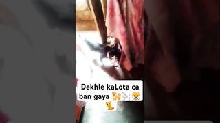 Dekhle kaLota ca ban gaya comedy funny fun short [upl. by Myles]