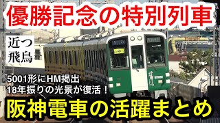 【18年振り】阪神タイガースの優勝で活気にあふれる阪神電車の様子。引退間近の5001形にHM掲出武庫川線車両の特別列車 Hanshin Tigers wins the championship [upl. by Ennayrb]