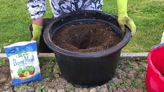 Planting Tomatoes in Containers [upl. by Delores]