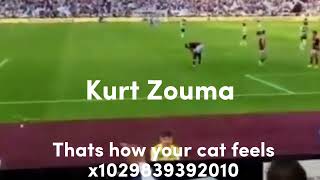 Fans chant at Kurt Zouma Thats how your cat feels [upl. by Novehs18]