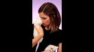 Emma Watson with kittens  instant serotonin boost [upl. by Anaud253]