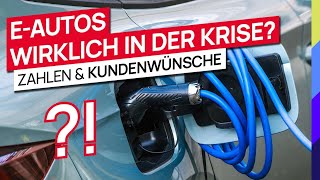 Elektroautos wirklich in der Krise Zahlen amp Kundenwünsche [upl. by Ymrej]