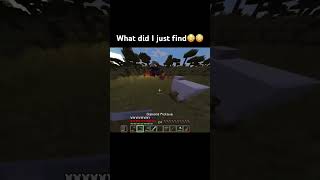 What did I just find😳😳 minecraft minecraftmemes shorts [upl. by Nojel]