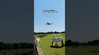 RwandAir Airbus A330 amp Peaceful Horses🐴 [upl. by Anneiv]