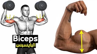 How To Build Your Biceps Workout Fast long head  short head [upl. by Desmond]