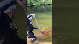 Giant Fish pulls him in fishing kingsalmon salmonrun peremarquette fishing fish [upl. by Jourdan]