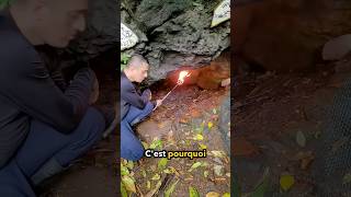 NExplorez Jamais Des Grottes Comme CelleCi 😲 [upl. by Ultann]