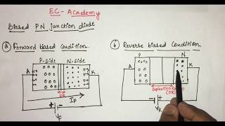 3 P N junction diode under forward bias and reverse bias Condition  EC Academy [upl. by Idihsar]