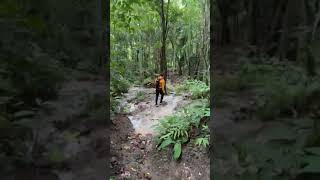 hikingadventures in bukidnon mountains tour philippines travel [upl. by Mcwilliams912]