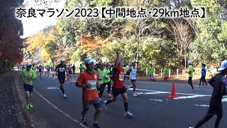 奈良マラソン2023【中間地点と29km地点を通過した全ランナー】 [upl. by Amalia]