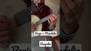 Banjolin  Banjo Mandolin  Odeon  Vega StyleK made in 1925 banjo mandolin odeon [upl. by Ardnovahs]