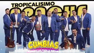 Tropicalísimo Apache Grandes Exitos Cumbias Viejitas Pero Bonitas Para Bailar Lo Mejor De Lo Mejor [upl. by Kreitman411]