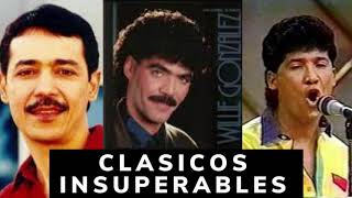 SALSAS CLASICAS INSUPERABLES Willie Gonzalez Eddie Santiago Hildemaro [upl. by Rizzi]