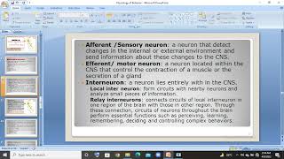 3 types of neuron Sensory motor interneuron  urduhindi lec [upl. by Druci]