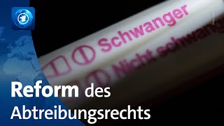 Schwangerschaftsabbruch Kommission legt Empfehlung für Reform vor [upl. by Nileuqay]