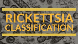 Rickettsia Classification  Microbiology [upl. by Felicio]