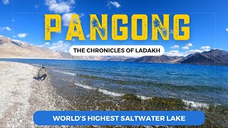 Pangong Lake Ladakh  Pangong Lake to Leh via Chang La Pass  The Chronicles of Ladakh  Ep 43 [upl. by Abey646]