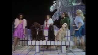 Pans People  Get Down  TOTP TX 25121973 [upl. by Arualana]