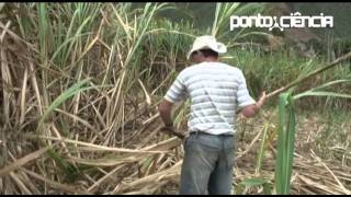 Pontociência  Fazendo Cachaça  Parte 1 [upl. by Can570]