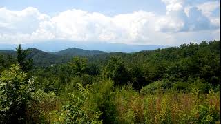 Tennessee Mountain Land For Sale [upl. by Yenaj]