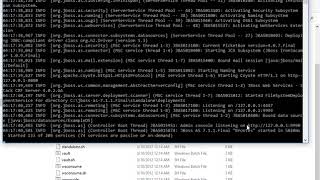 JBoss 711 Installation in Windows 10 with Oracle JDK 7 Java 7 [upl. by Nottarts821]