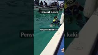 Pulau Redang Snorkeling Tengok Penyu Berenang [upl. by Merfe198]