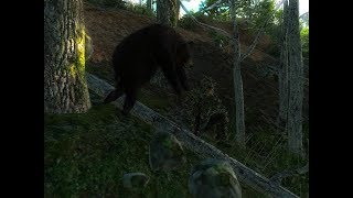 theHunter Classic  SchwarzBär Folge31 Schoko gewünscht Blond bekommen Teil1 [upl. by Cullen128]