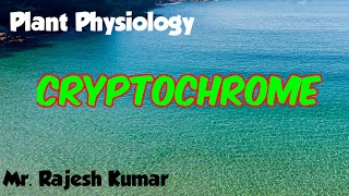 Cryptochrome Plant physiologyCSIR NET in Hindi [upl. by Scarlet448]