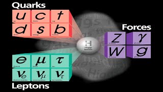 LInfinito e lUniverso La scienza moderna La fisica delle particelle La struttura della materia [upl. by Ruffo498]