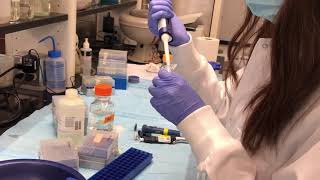 Enzyme activity assay GA [upl. by Ariajaj]