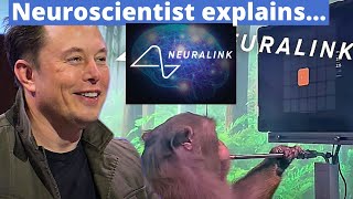 Neuralink Brain Pong Neuroscientist Explains w Prof Andrew Jackson [upl. by Autumn460]