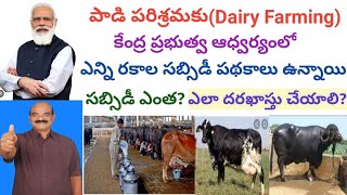 How many Central Government Subsidy Loans available for Dairy Farming Telugu  Dr Madankumar Vet [upl. by Moersch]