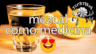 Mezcal medicina ancestral [upl. by Anaujait]