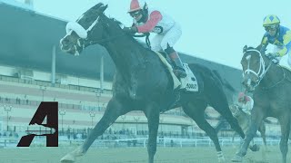 Aqueduct Racing  January 14 2022 [upl. by Aoket]