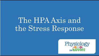 The HPA Axis and the Stress Response [upl. by Sine14]