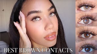 Solotica BROWN Comparisons  Tupis Agata Avela Castanha  Color Contact Review TryOn  Discount [upl. by Tati96]