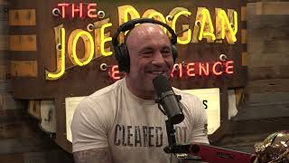 Drug Kickbacks  Joe Rogan Experience w Mariana van Zeller [upl. by Aeriell]