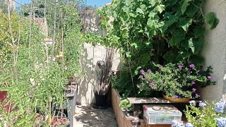 Un tour du potager en jardinières [upl. by Illil]