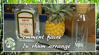 Comment faire un rhum arrangé   Vulgarisation 5 [upl. by Annadiana40]