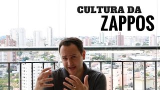 Zappos e Valores e Cultura  Resenha do Livro Satisfação Garantida [upl. by Megdal]