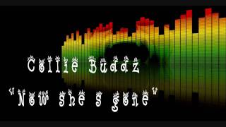 Collie Buddz  Now she s goneRelationship Riddim [upl. by Dnumsed155]