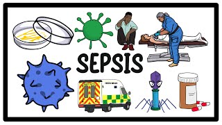 Sepsis Infection amp Septic Shock The Ultimate Guide to Symptoms and Treatment [upl. by Stilu784]