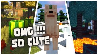 Jicklus  Minecraft Texture Pack 116 amp 117  Cute pack  Download amp Showcase [upl. by Sisely]